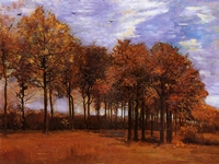 Autumn Landscap