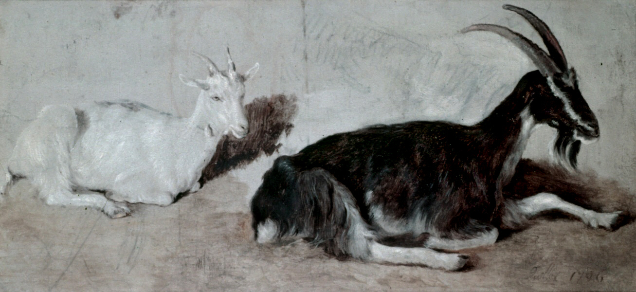 Two Goats - Jacques-Laurent Agasse realist art history goats animals eighteenth century