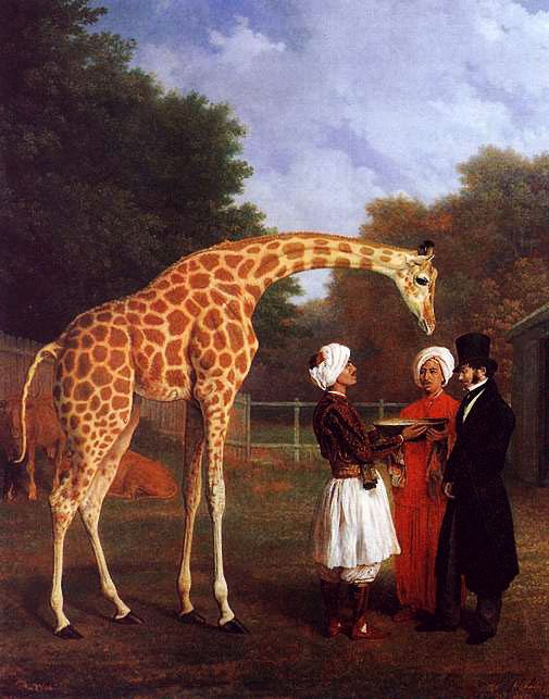 The Nubian Giraffe art history realism animal man zoo 19th century