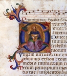 king david king david