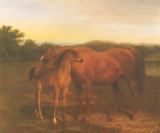 Arab Mare with Foal Arab Mare with Foal
