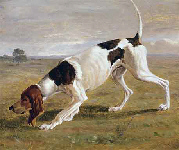Pointer in a Landscape
