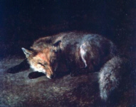 Sleeping Fox