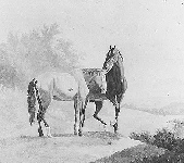 Two Horses - Agasse Two Horses - Agasse