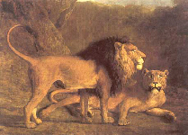 lion and lioness - Agasse lion and lioness - Agasse