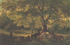 Horses under Trees at Strattfield Saye Horses under Trees at Strattfield Saye