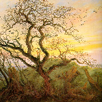 the tree of crows the tree of crows