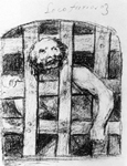 A Lunatic Behind Bars A Lunatic Behind Bars