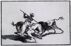 Morisco Gazul is the First to Fight Bulls Morisco Gazul is the First to Fight Bulls