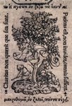 Charitas
