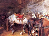 Arab Stable Arab Stable