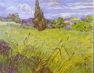 Green Wheat Field with Cypress. Saint­Rémy
