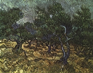 The Olive Grove