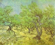 The Olive Orchard