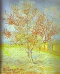 Peach Tree in Bloom In memory of Mauve Peach Tree in Bloom In memory of Mauve
