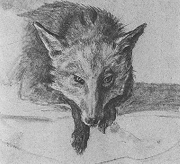 Fox Seen Head on by Jacques-Laurent Agasse