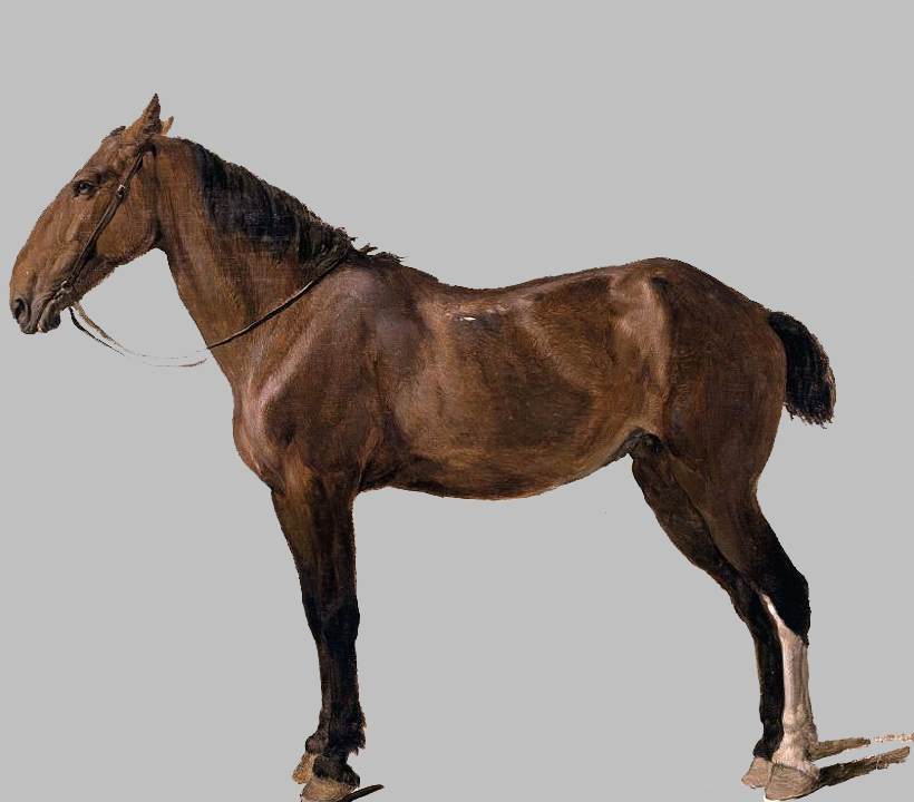 horse agasse oil painting art history realism eighteenth century
