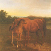 Arab Mare with Foal Arab Mare with Foal