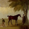 Malcolm Greame with a Mare