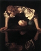 Narcissus Narcissus