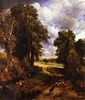 The Cornfield