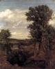 Dedham Vale 