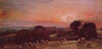 Hayfield at East Bergholt
