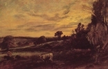 Landscape Evening