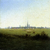Meadows near Greifswald Meadows near Greifswald