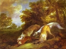 Dogs Chasing a Fox Dogs Chasing a Fox