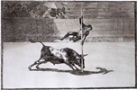 Speed and Daring of Juanito Apiñani in the Ring of Madrid