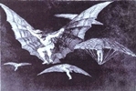 Way to Fly