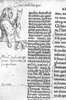 Marginal illustration for Erasmus In praise of Folly Marginal illustration for Erasmus In praise of Folly