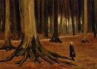 Girl in the Woods Girl in the Woods
