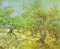 The Olive Orchard