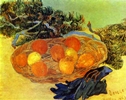 Still Life with Gloves and Pine Branch