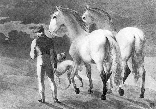 Stable boy with two grey horses and a greyhound by jacques-laurent agasse 19th century art history realism agasse animal boy dog horse