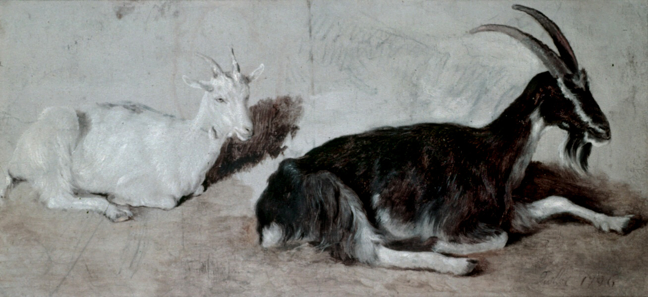 two goats Two Goats - Jacques-Laurent Agasse realist art history goats animals eighteenth century